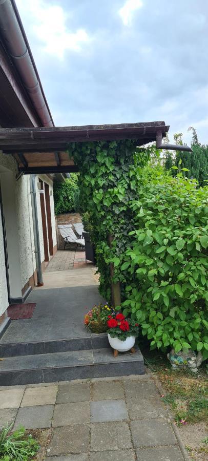 Ferienwohnung Hampel Altglietzen Zewnętrze zdjęcie